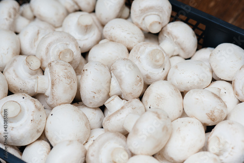 Ripe fresh mushrooms in a box in the warehouse after assembling a close-up.