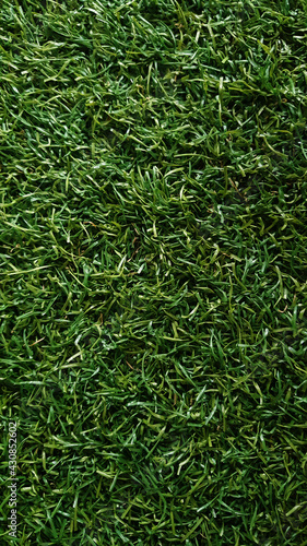 green artificial grass synthetic plastics turf
