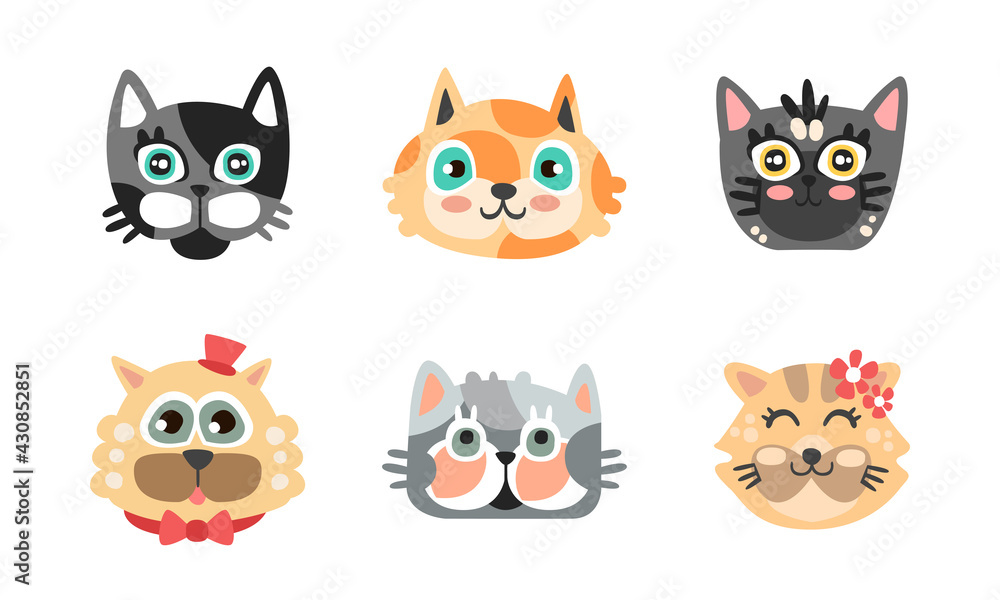 Different Cat Muzzle and Heads with Whiskers Vector Set