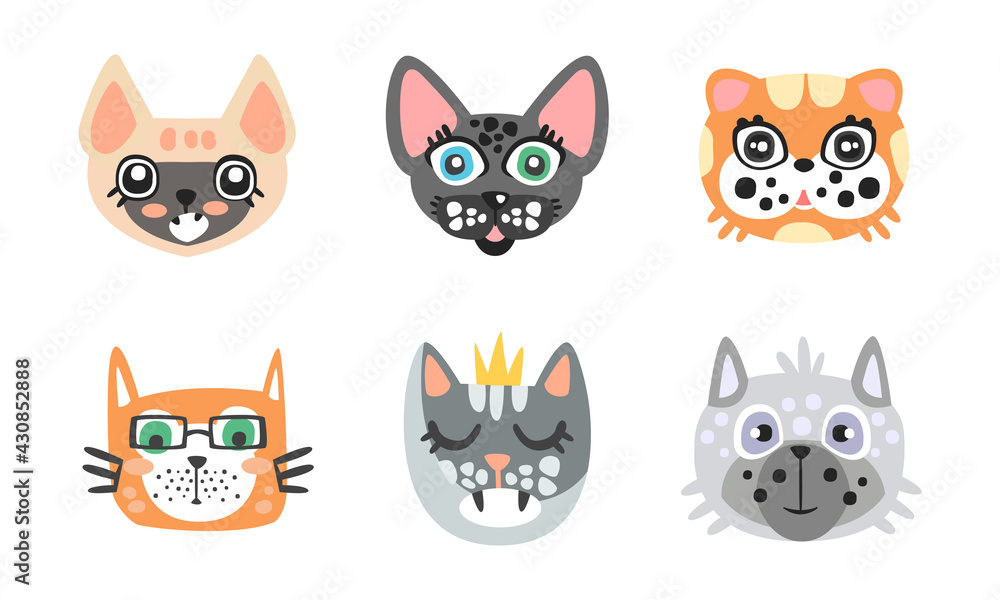 Different Cat Muzzle and Heads with Whiskers Vector Set