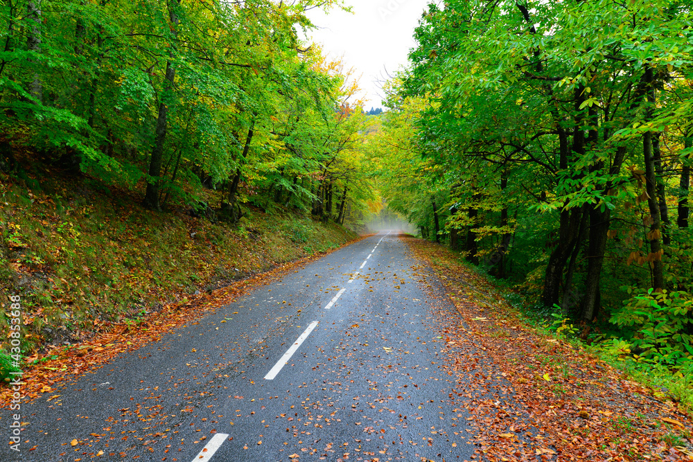 Fototapeta premium Paysage des Cevennes en France en Automne