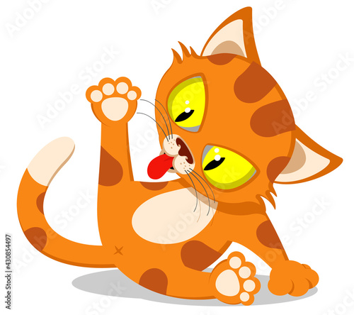 Ginger cat sits and licks, home pet