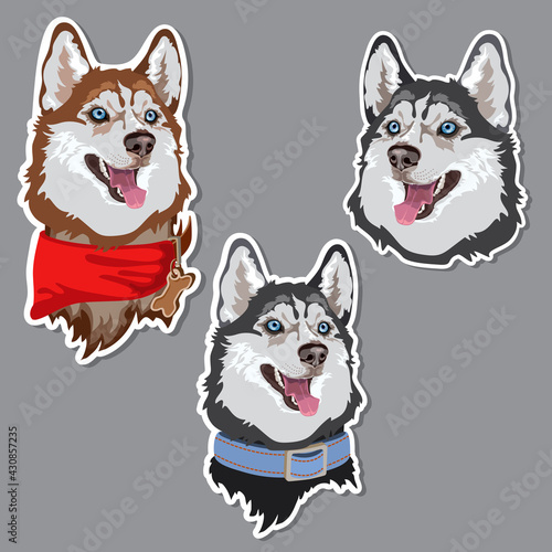 Dog breed Husky sticker. Animal domestic. Vector.