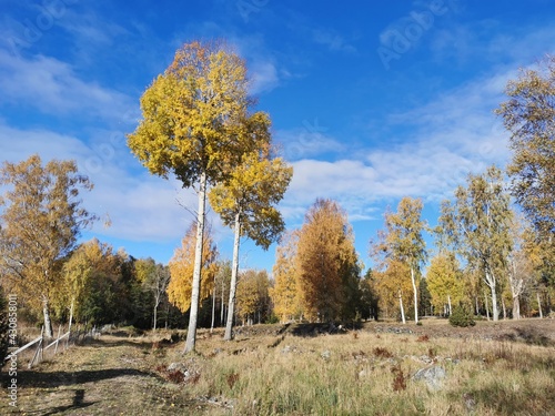 Högbergsfältet Persberg Värmland photo