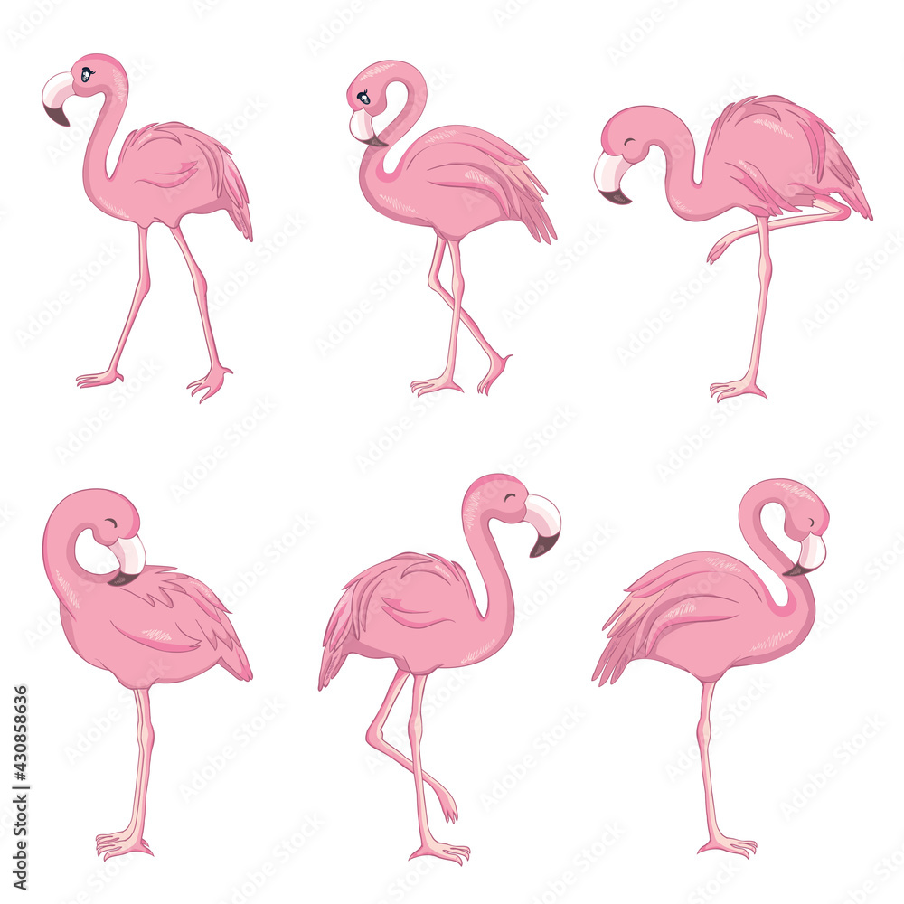 Obraz premium Vector set with four pink flamingos isolated on the white background.