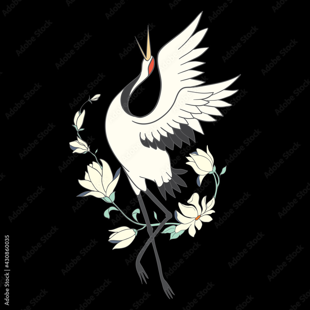 Fototapeta premium Japanese crane bird isolate on a white background.