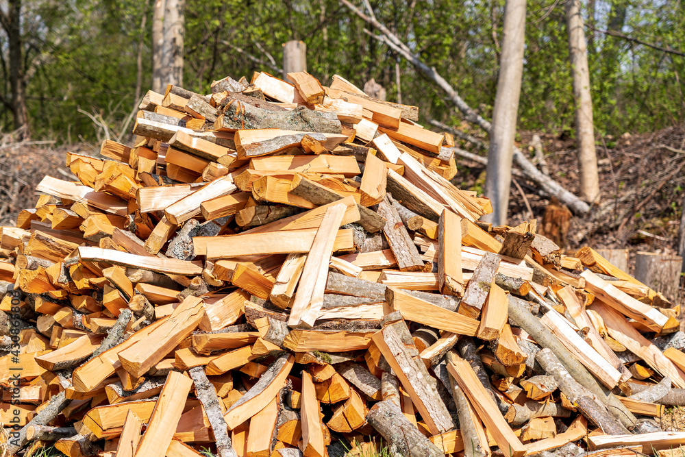 A pile of broken wood in the spring.. A pile of broken wood in the spring..