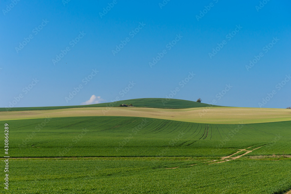des champs agricoles de ble et de mais  vallonée avec du bleu, du jaune  et du vert -  un typique paysage de campagne française