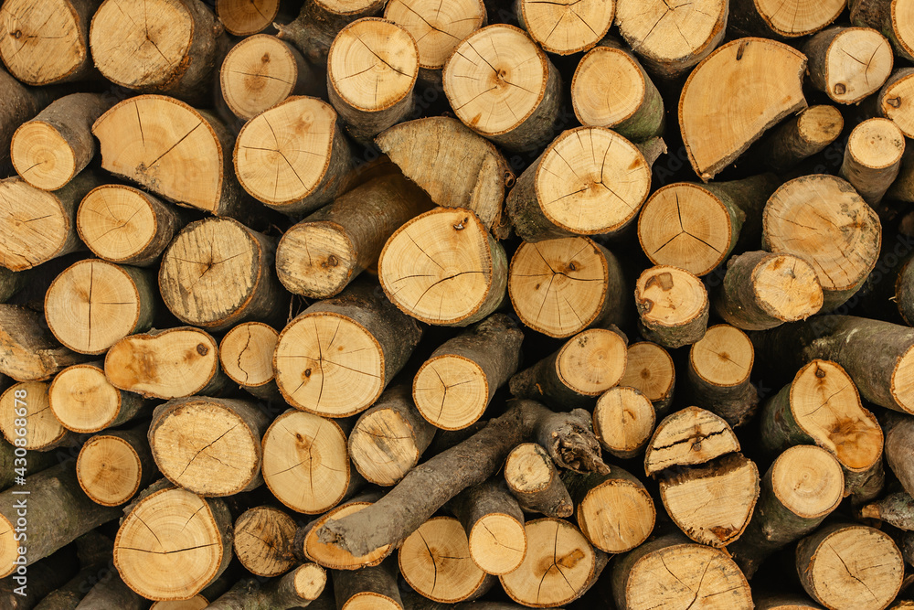Wood texture detail. Stack of firewood. Pile of wood logs stored for winter. Wall of woods. Wooden natural background. Storage of dry chopped firewood. Preparattion for heating in countryside. Wood texture detail. Stack of firewood. Pile of wood logs stored for winter. Wall of woods. Wooden natural background. Storage of dry chopped firewood. Preparattion for heating in countryside.