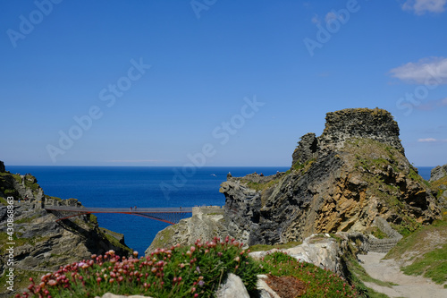 Out of focus flowers framing Tintagel Bridge