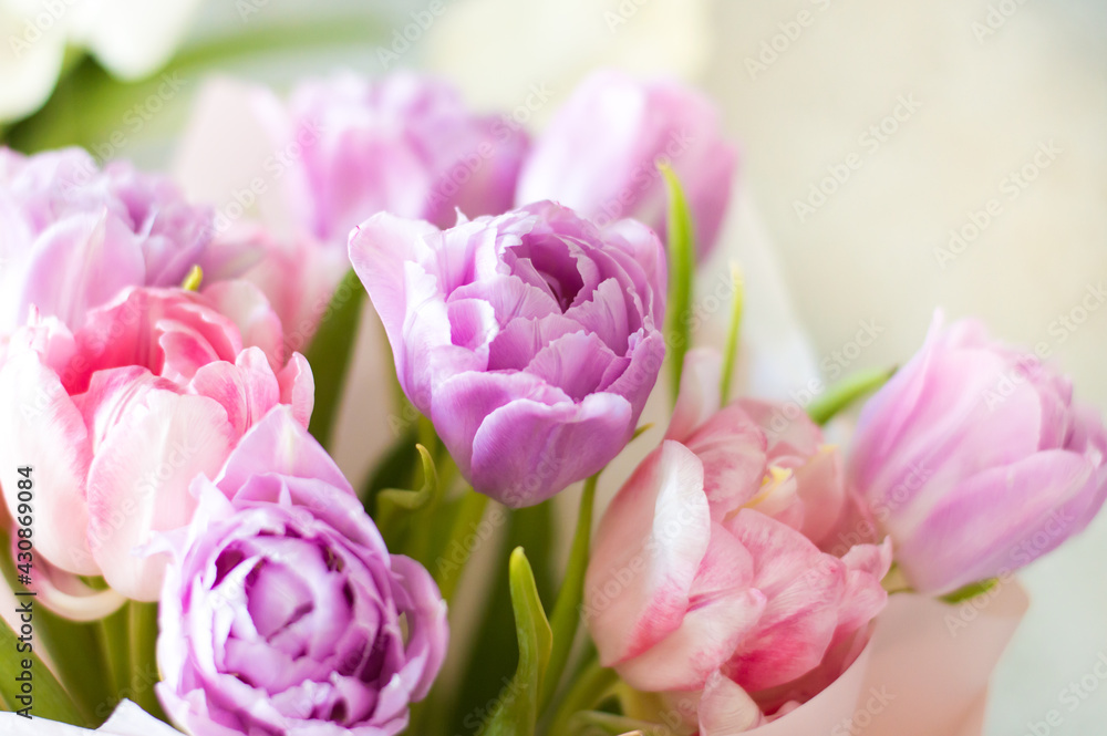 Obraz premium Tulips in sunbeams, of flowers in a bouquet