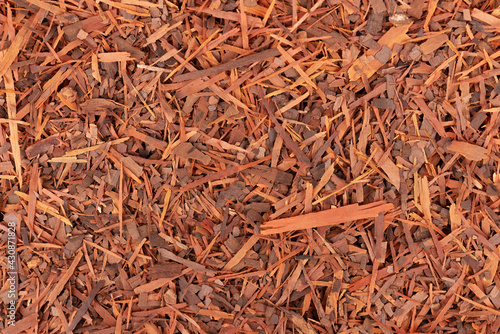 Lapacho herbal tea background. Natural Taheeboo dry tea. Pau d'arco herb. Tabebuia heptophylla. photo
