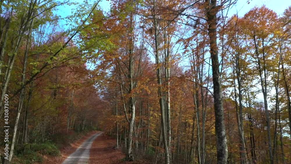 Beautiful autumn landscape video with drone Beautiful autumn landscape video with drone