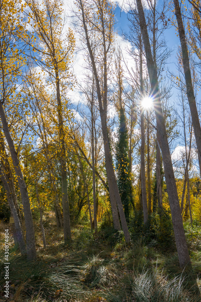 Autumn in Gudar mountains Teruel Aragon Spain Autumn in Gudar mountains Teruel Aragon Spain
