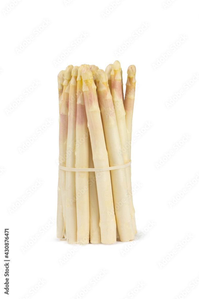 Bunch of white asparagus isolated on white Bunch of white asparagus isolated on white