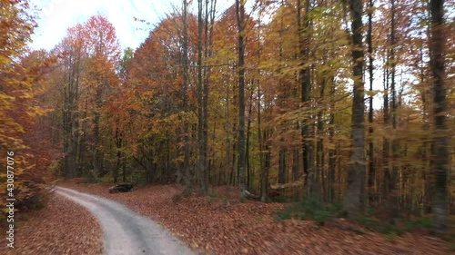 Beautiful autumn landscape video with drone