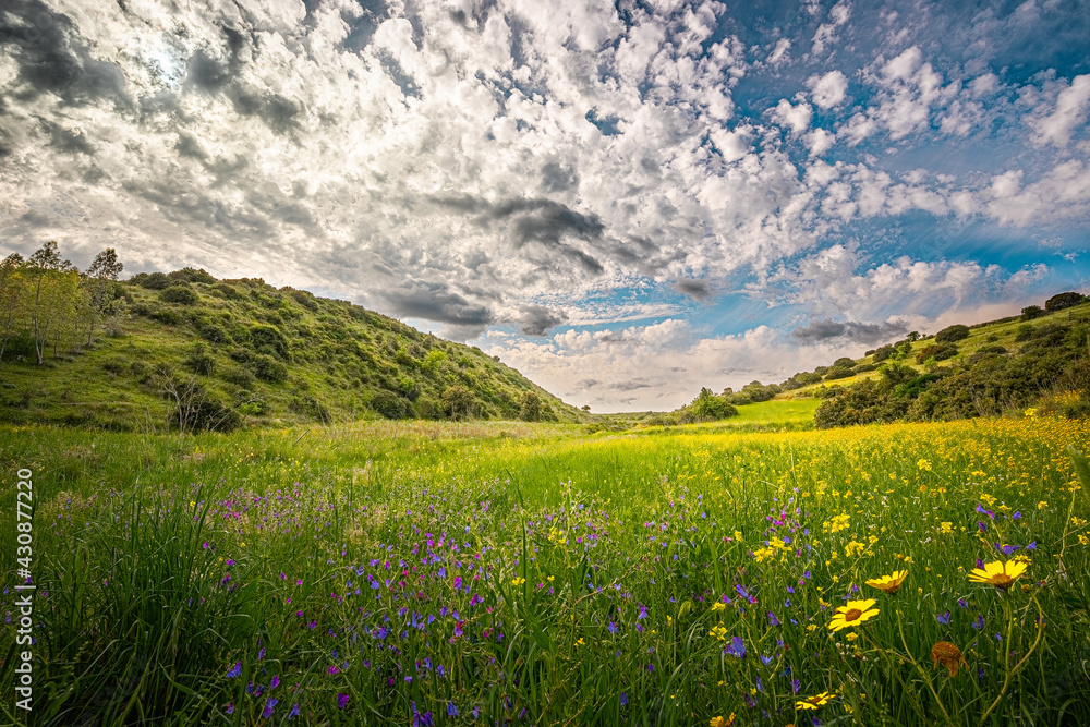 primavera fra le colline