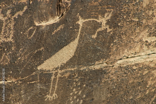 Fotografie Hohokam Style Petroglyphs in the Painted Rock Mountains, in Arizona, Petroglyphs