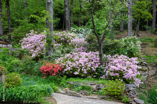 Fototapeta Naklejka Na Ścianę i Meble -   beautiful flower landscape spring blooms