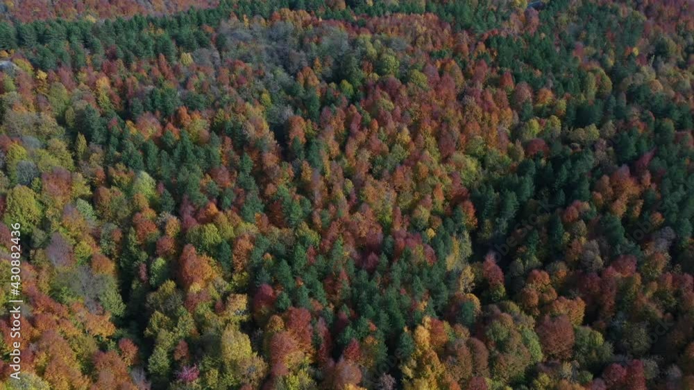 Beautiful autumn landscape video with drone