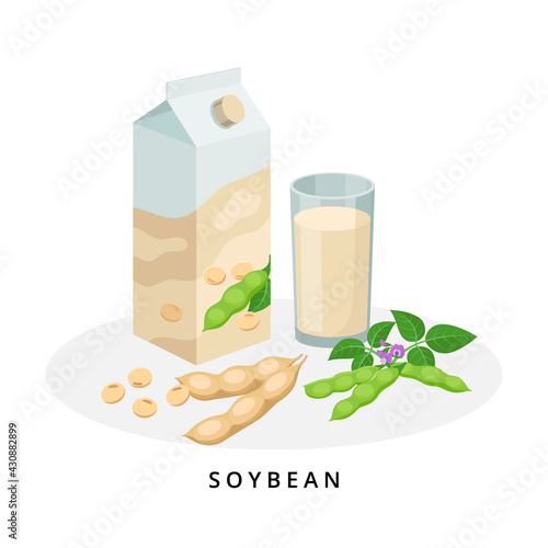 Soy milk in box and glass. Plant milk, vegan milk concept. Vector illustration isolated on white background. Alternative milk and ingredients.
