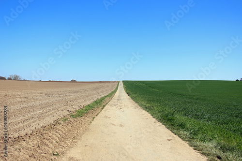 Three parts divided photo with blue clear sky, brown dry farmland and green growing grassland splitted by a straight way forward and horizon.