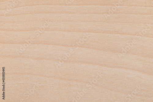 Texture of  Birch Wood veneer