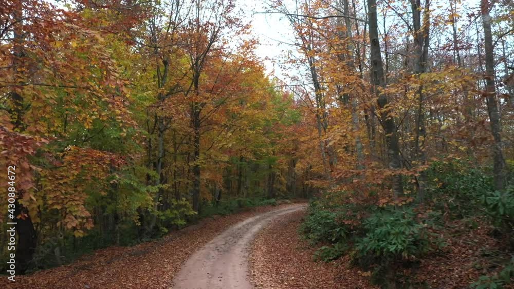 Beautiful autumn landscape video with drone Beautiful autumn landscape video with drone