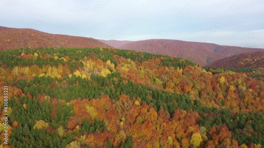 Beautiful autumn landscape video with drone