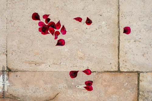 red flower petals on a light background, horizontal.