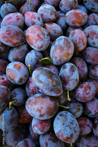 Ripe plums. Plums with a few leaves. Close up of fresh plums, top view. Macro photo food fruit plums. Texture background of fresh blue plums. Image fruit product. D'Agen French prune plum.