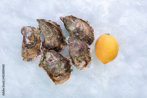 Fresh and closed oysters with lemon