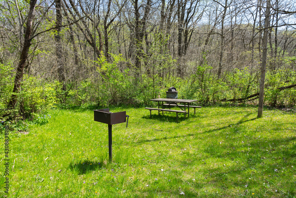 Picnic area in the park.