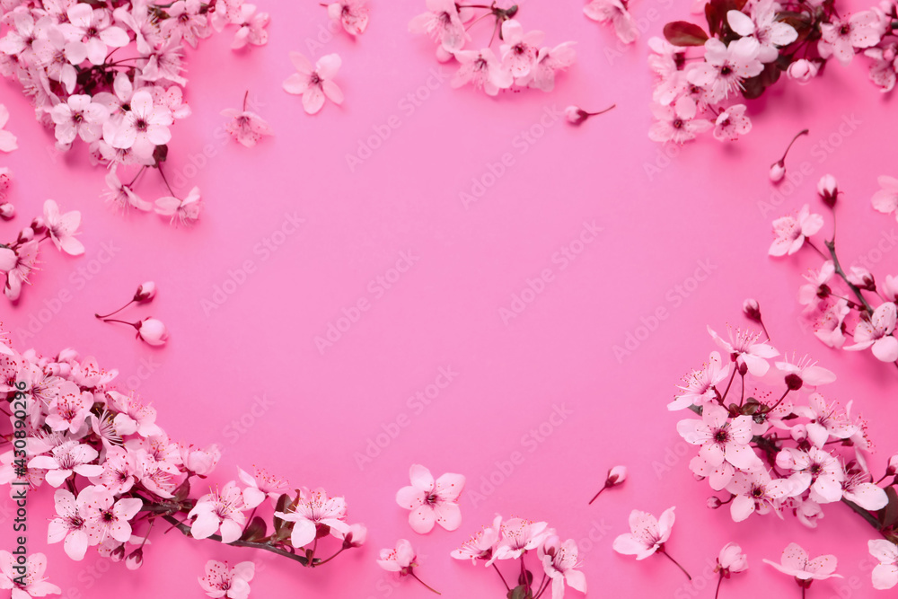 Beautiful frame of spring tree blossoms on pink background, flat lay. Space for text