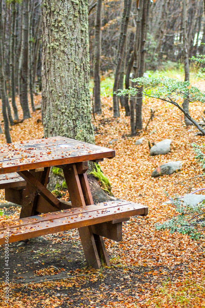 wooden table in the park in an autumn setting wooden table in the park in an autumn setting