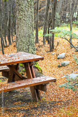 wooden  table  in  the  park  in  an autumn  setting