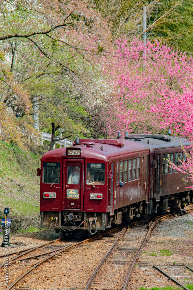 花桃の季節の神戸駅から見たわたらせ渓谷鉄道