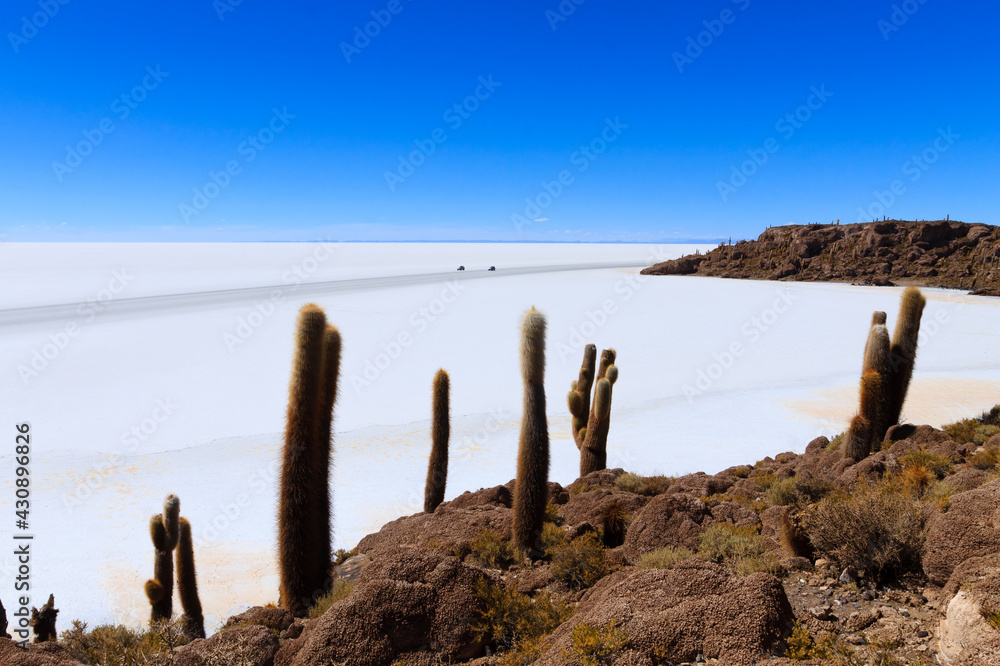 Salar de Uyuni view from Isla Incahuasi Salar de Uyuni view from Isla Incahuasi