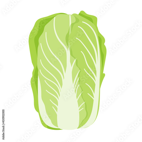 白菜野菜