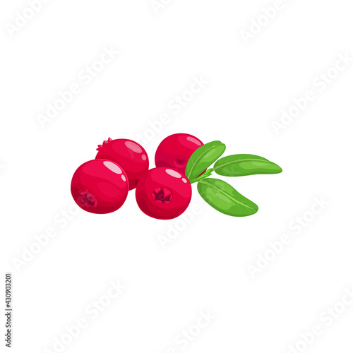 Cranberry, juicy mooseberry bog-berry isolated realistic icon. Vector moss-berry fruit, summer dessert food fruits or berries, food from farm garden, wild forest. Ripe cranberries bunch, jam or juice
