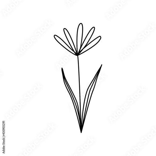 drawings abstract flowers with leaves linear art vector illustration