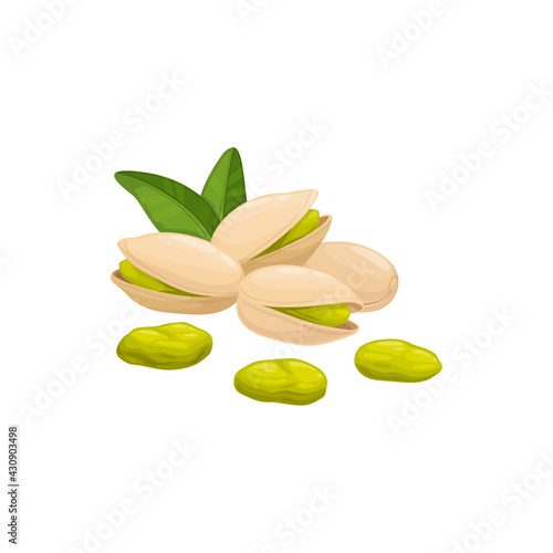 Pistachio nut in shell isolated food snack peeled and unpeeled, green leaves. Vector vegetarian natural roasted pistache or pistachio with green seed. Cracked dried pistache, protein food dessert photo