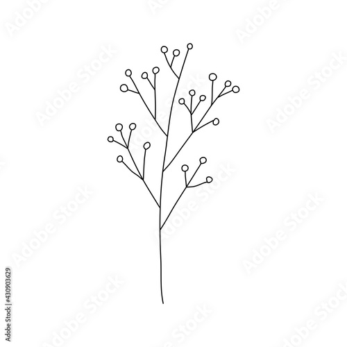 Vector plants tree holly berry with leaves branches holiday decoration winter symbols vintage nature line art illustration