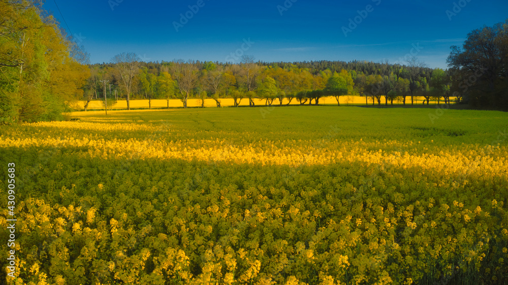Obraz premium Stockholm Ekero - Aerial view of a autumn field 20-09-01. High quality photo