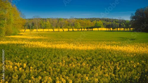 Stockholm Ekero - Aerial view of a autumn field 20-09-01. High quality photo photo