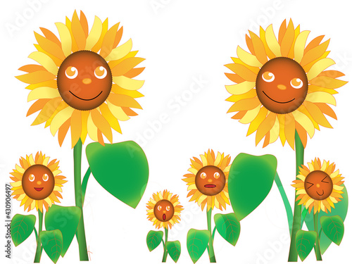 ひまわりの仲間たち