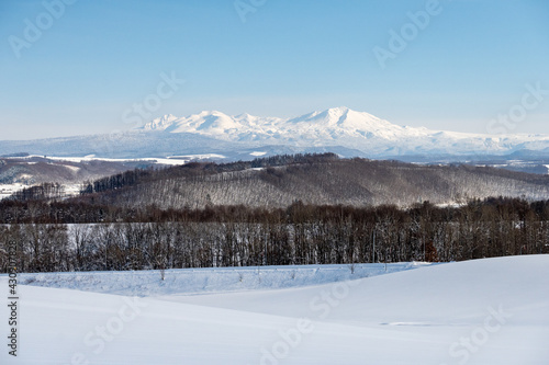 美瑛町の冬景色 大雪山と青空の風景 © TATSUYA UEDA