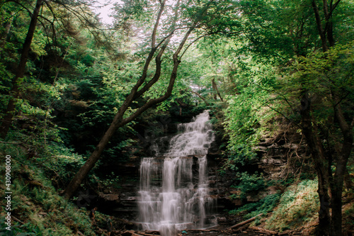 Fototapeta Naklejka Na Ścianę i Meble -  a big waterfall in a bigger forest