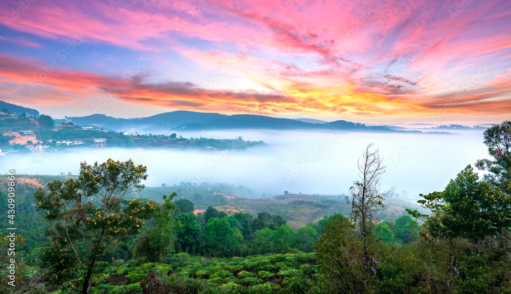 Dawn on plateau in morning covered by fog below, landscape so beautiful idyllic countryside Da Lat plateau, Vietnam Dawn on plateau in morning covered by fog below, landscape so beautiful idyllic countryside Da Lat plateau, Vietnam