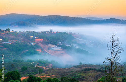 Dawn on plateau in morning covered by fog below, landscape so beautiful idyllic countryside Da Lat plateau, Vietnam
